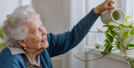 Acompanyament de persones grans a domicili